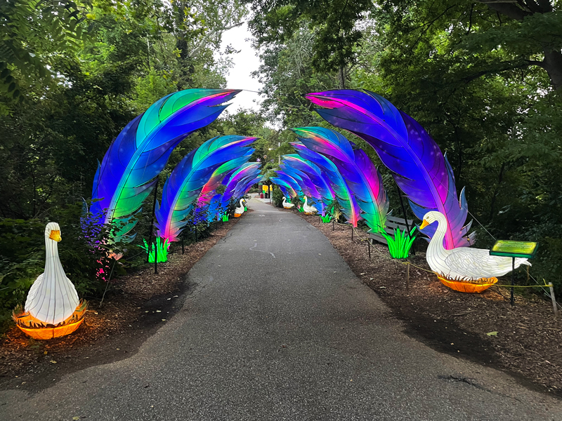 Photo of light display at Mesker Park Zoo & Botanic Garden's Wild Summer Lights by Laura Mathis