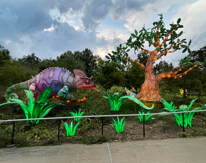 Photo of light display at Mesker Park Zoo & Botanic Garden's Wild Summer Lights by Laura Mathis